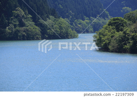 Futagawa dam fresh green 22197309