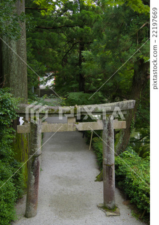 加茂神社 22197669