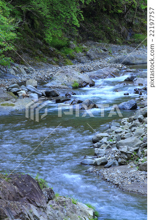 Fresh green clear stream 22197757