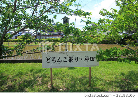 Wakamiya Hachimangu Shrine (Kochi) 22198100