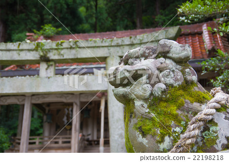 Guardian dog Guardian dog 22198218