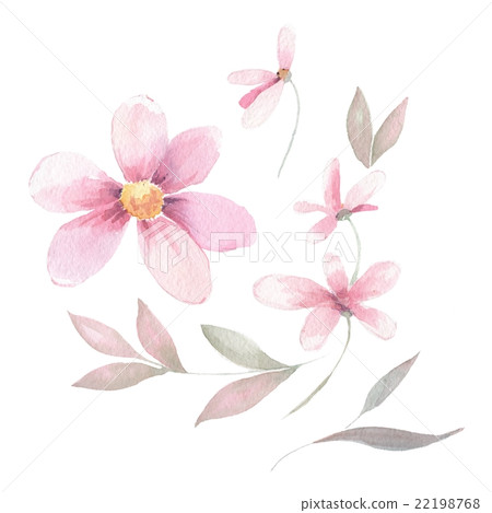 Delicate floral set. Watercolor flowers Delicate floral set. Watercolor flowers 22198768