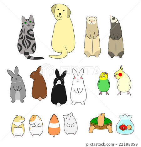 Pet material of various poses Pet material of various poses 22198859