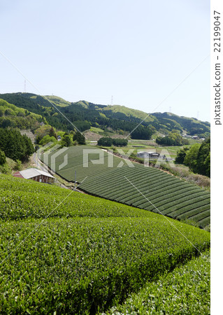 Teahara奈良市田原地區 Teahara奈良市田原地區 22199047