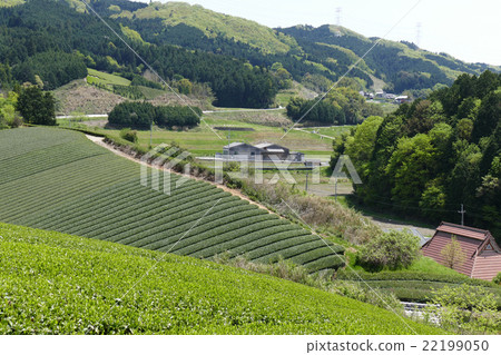 Teahara Nara City Tahara area Teahara Nara City Tahara area 22199050