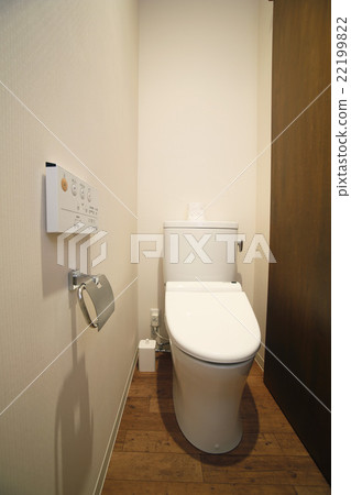 The toilet after renovation 22199822