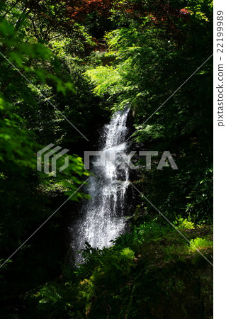 Ryuzoji - early summer Ryuzoji - early summer 22199989