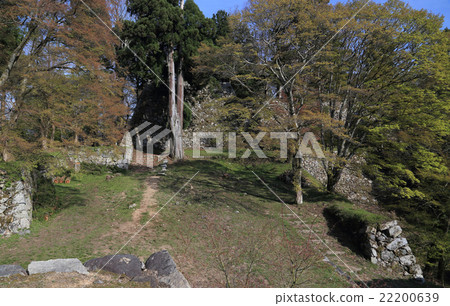 Nara Prefecture "Takatori Castle Ruins" Tenso-dori Nara Prefecture "Takatori Castle Ruins" Tenso-dori 22200639