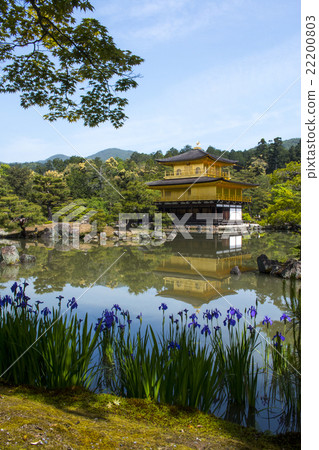 新鮮的綠色Kinkaku-ji 新鮮的綠色Kinkaku-ji 22200803