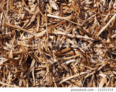 light brown dried grass straw hay on earth floor light brown dried grass straw hay on earth floor 22201354
