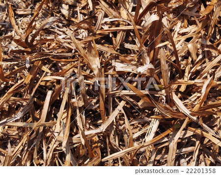 light brown dried grass straw hay on earth floor  22201358