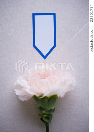 Carnations and tags 22201754