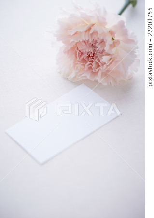 Carnations and notes 22201755