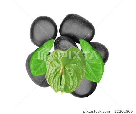 Spa stones and green anthurium flower isolated Spa stones and green anthurium flower isolated 22201809