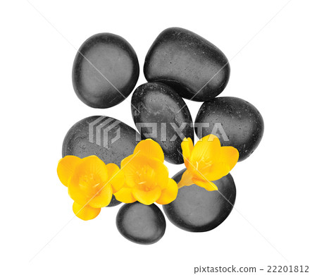 Spa stones and yellow flower isolated on white Spa stones and yellow flower isolated on white 22201812