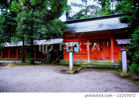 多哥Shika Katori神宮神社Kamikaze（Shimosani Nomiya）千葉香取市 22203072