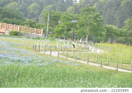 公園的烏鴉 公園的烏鴉 22203995