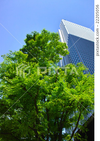 Shinjuku high-rise building of fresh green Shinjuku high-rise building of fresh green 22205056