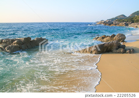 屋久島海龜的產卵場長田中島海灘拉波 22205526