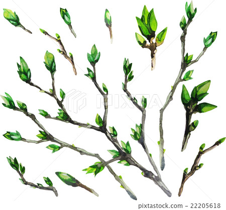 Watercolor spring branches Watercolor spring branches 22205618