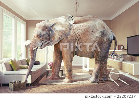 elephant and the beer 22207237