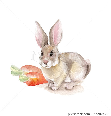 Rabbit and carrots. Watercolor illustration 22207425