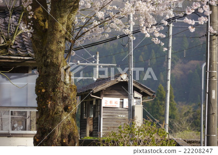 Cherry at Yokoe Station 22208247