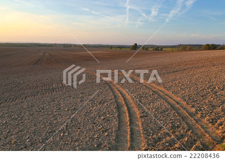 Agircutural field in late sunlight 22208436