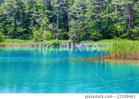 Benten-numa 22208461