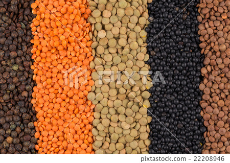 mix of lentils mix of lentils 22208946