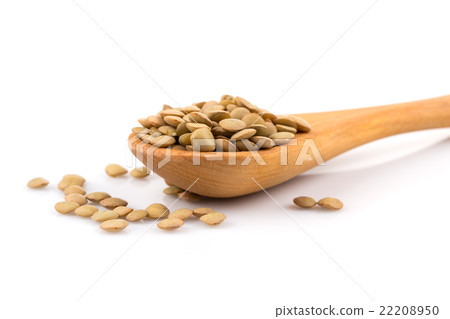 French green lentils in bowl French green lentils in bowl 22208950