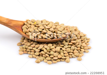 French green lentils in bowl French green lentils in bowl 22208951