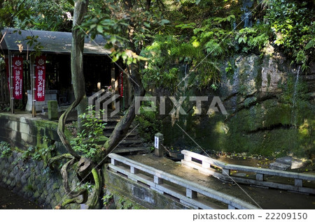  Todoroki Valley 22209150