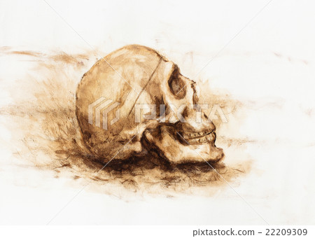 skull painting on paper. Ochre color skull.  22209309