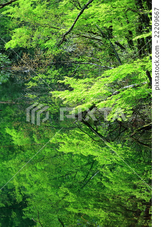 龍uga 龍uga 22209667