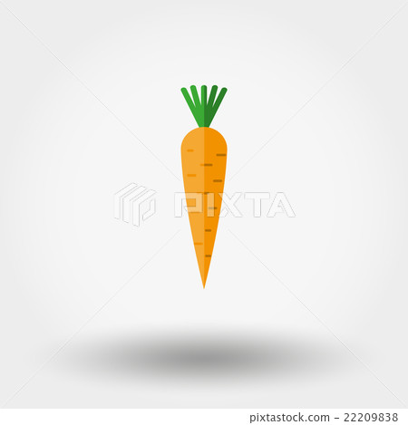 Carrot icon. Flat. Carrot icon. Flat. 22209838