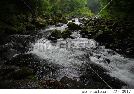 Mountain stream of Iwato River flowing in front of Cheonan River in Amaisei shrine Mountain stream of Iwato River flowing in front of Cheonan River in Amaisei shrine 22210917