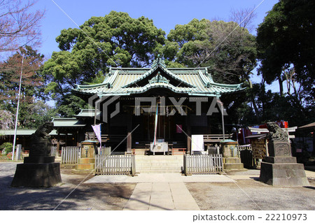 代代木八幡宮 22210973