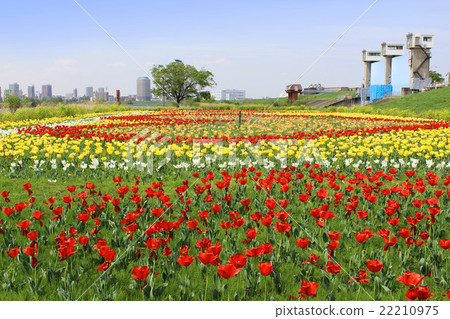 城市農業園區 22210975