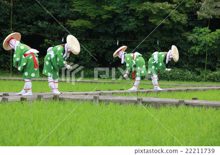 水稻種植節 22211739