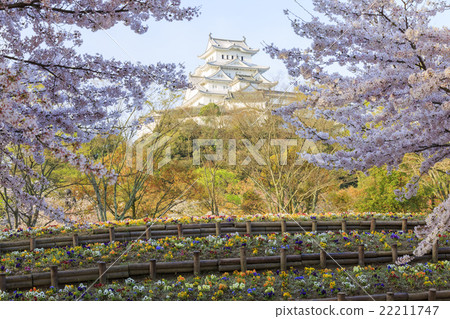 姬路城堡的顏色 22211747