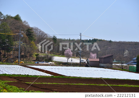 Ii Tsunoda Takahara的領域 Ii Tsunoda Takahara的領域 22212131