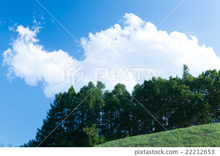 Summer image 22212653