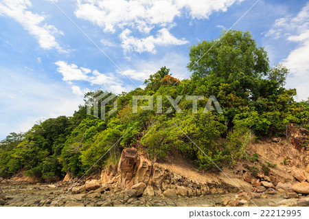 Green forest on rocky shore Green forest on rocky shore 22212995