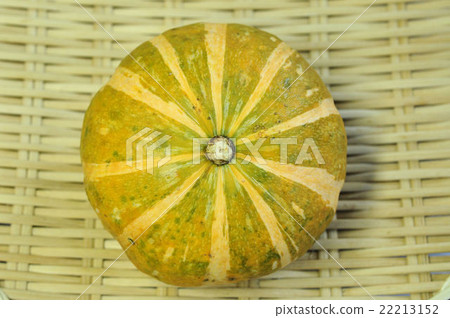 Suzuka pumpkin Suzuka pumpkin 22213152