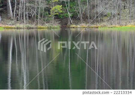 Morning pond in early spring Morning pond in early spring 22213334