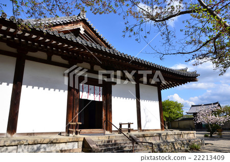 New Yakushiji Main Hall / South Gate (2016.4) 22213409