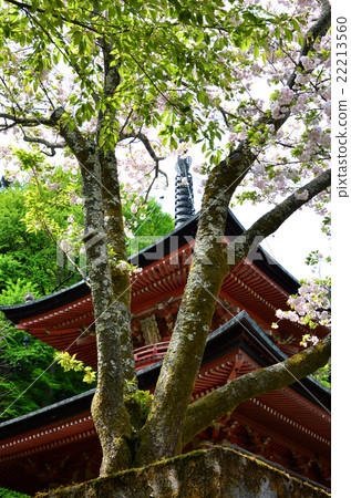 Furuji Treasure Tower (2016.4) 22213560