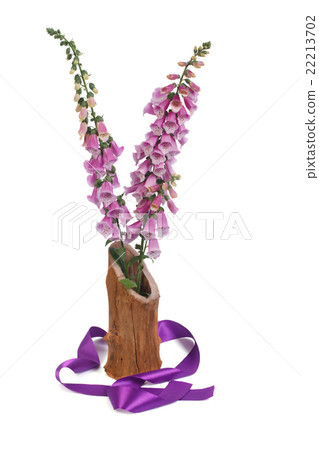 foxglove flowers in a vase and a purple ribbon foxglove flowers in a vase and a purple ribbon 22213702