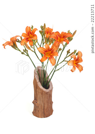 Orange lily in wooden vase isolated on white Orange lily in wooden vase isolated on white 22213711